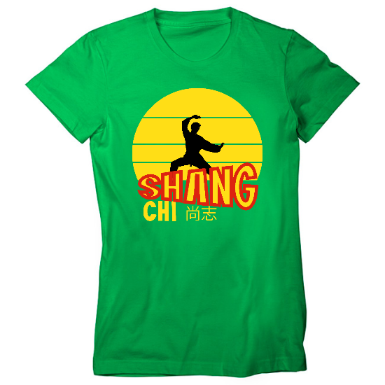 Kung Fu Master Womens T-Shirt