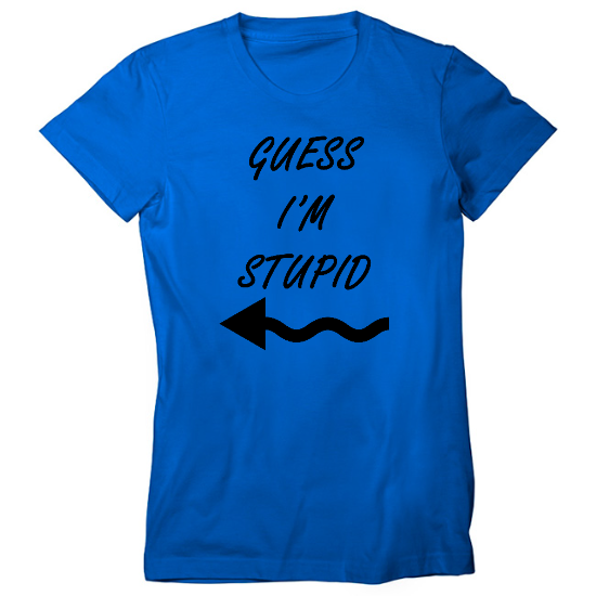 Guess Im Stupid Womens T-Shirt