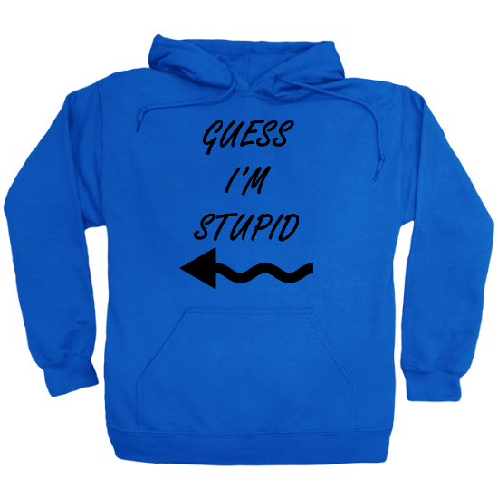 Guess Im Stupid Hoodie