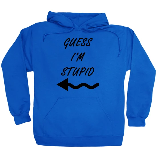 Guess Im Stupid Hoodie