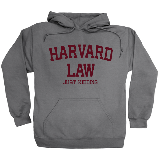 Law Student? Just Kidding Hoodie